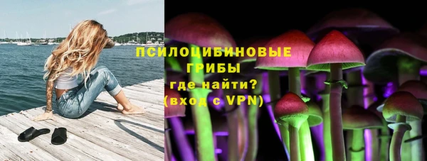 2c-b Михайловск