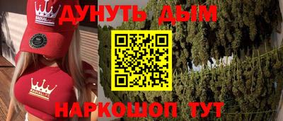 эйфоретик Гай