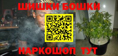 сатива Беслан