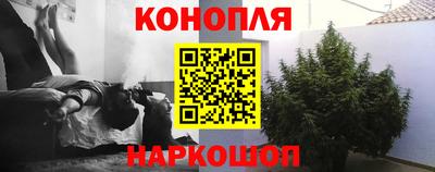 сатива Беслан