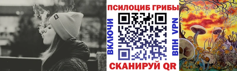 Псилоцибиновые грибы Cubensis  хочу наркоту  площадка состав  Кировск 
