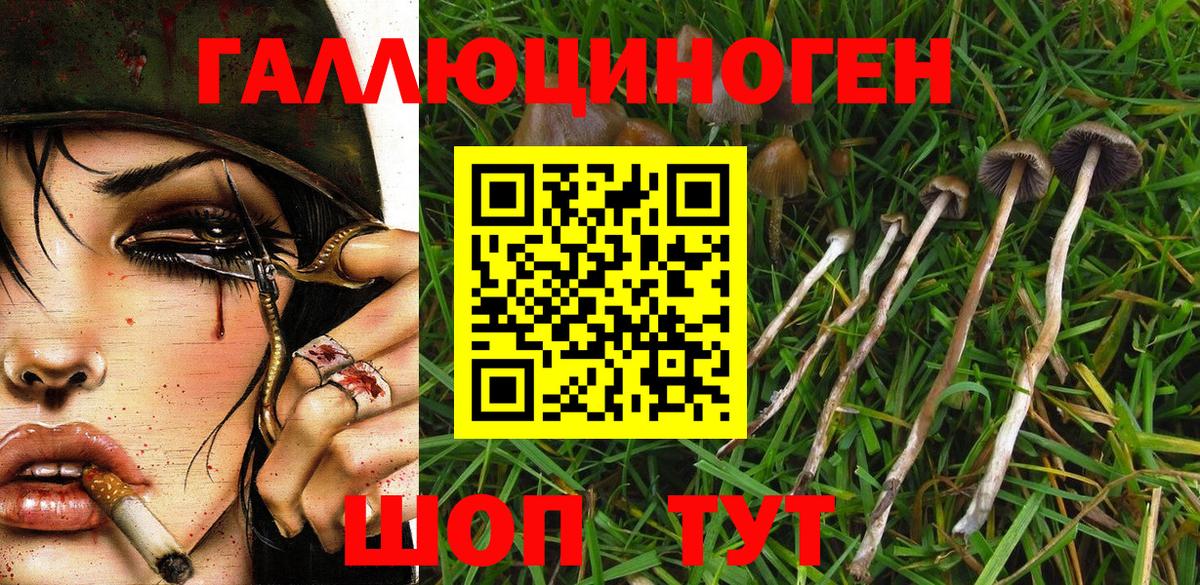 Псилоцибиновые грибы мицелий  Галлюциногенные грибы Psilocybine cubensis  Кировск  Вход с VPN 