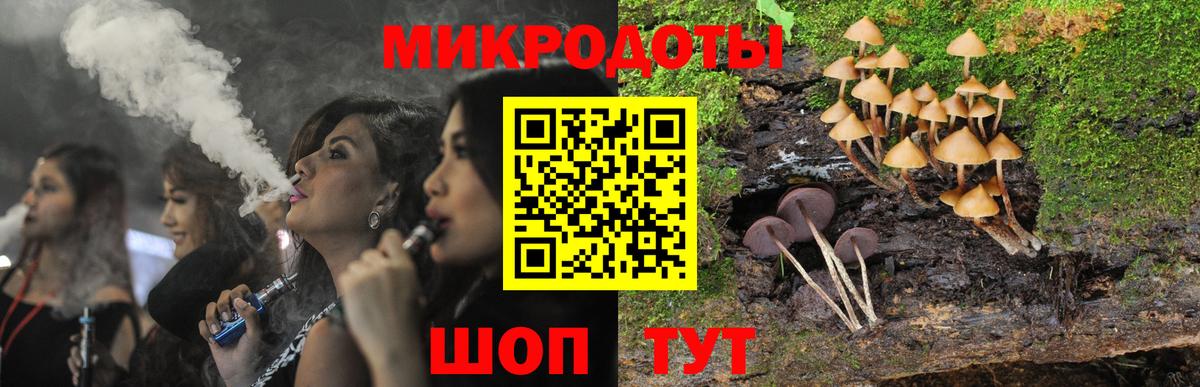 закладка  Кировск  Галлюциногенные грибы GOLDEN TEACHER 